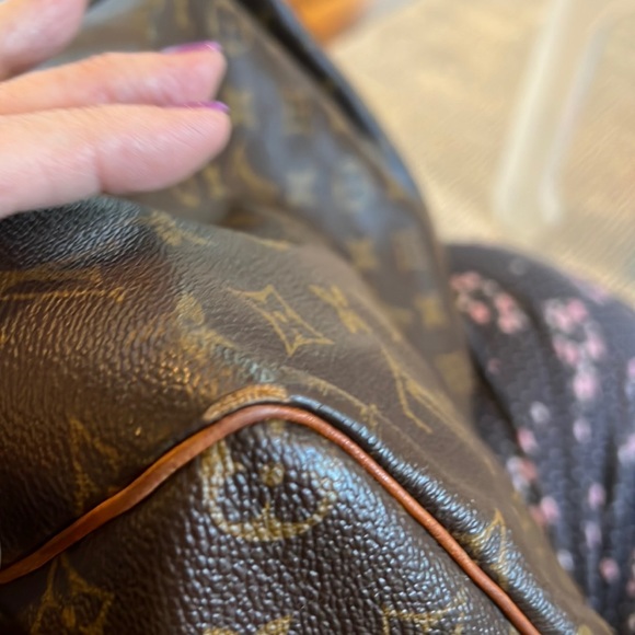 Louie Vuitton Speedy - Picture 6 of 16